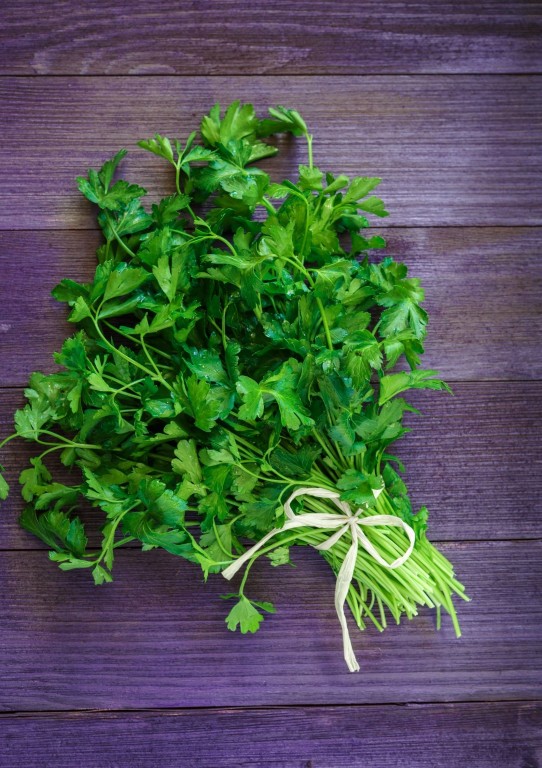 Coriander